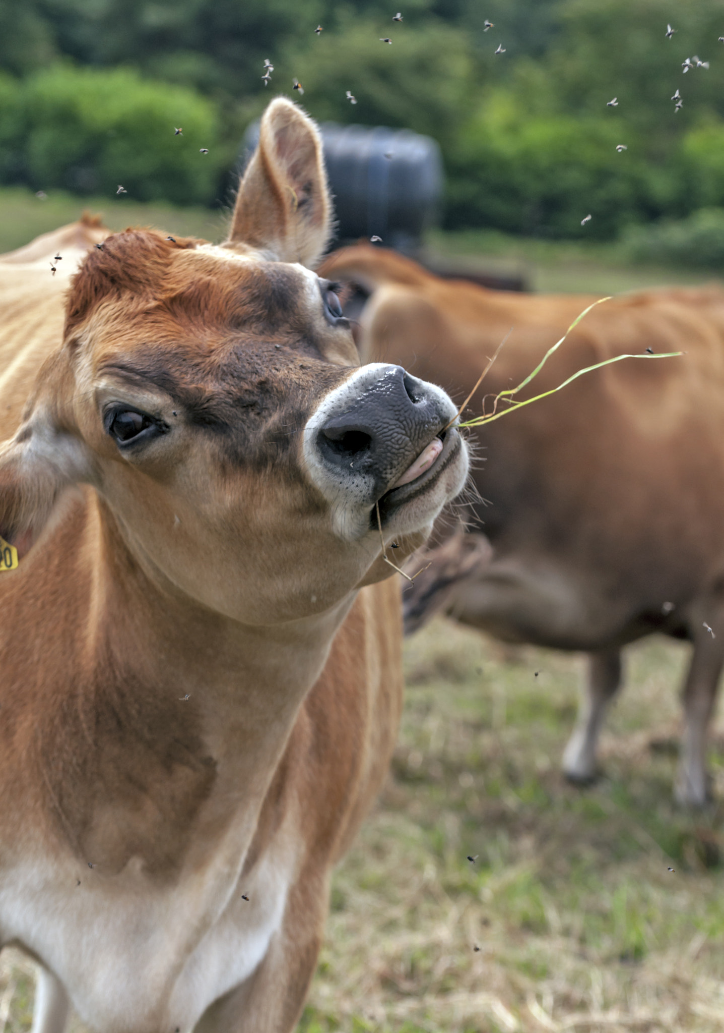 v2?sig=14fba19f07051f23ddfb4b6ec47c73823cfa10f32c1e2c88a9c52f6fc8535b22