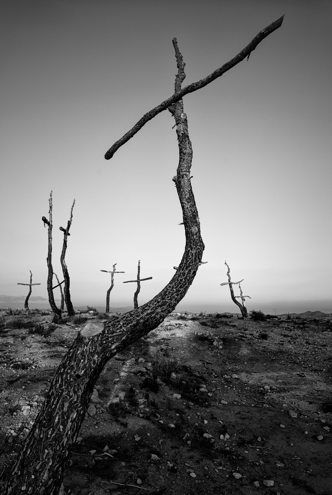 Bosque de las cruces by sonia poch parera on 500px.com