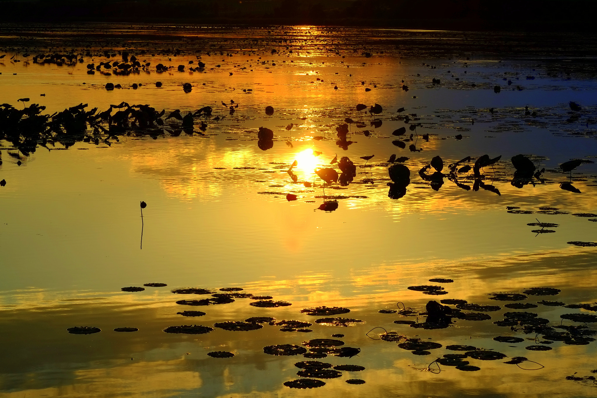 佐潟（Sagata)　夕景