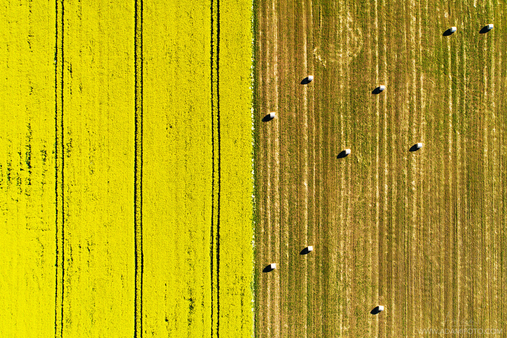 Late summer patterns in Estonia by Karl Adami on 500px.com