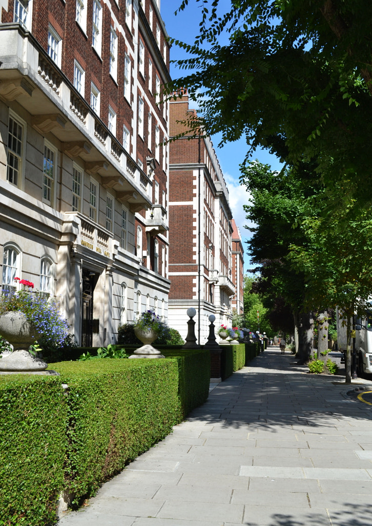 "Я всегда подозревал, что брак связан с лишениями..." (c) Duchess Of