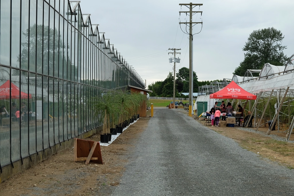 IMG by ukijojo on 500px.com