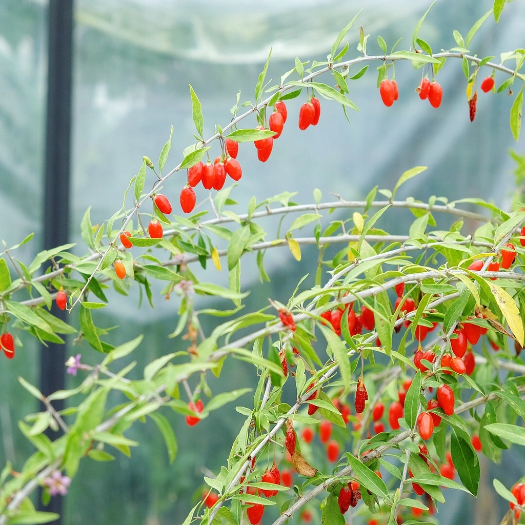 IMG by ukijojo on 500px.com