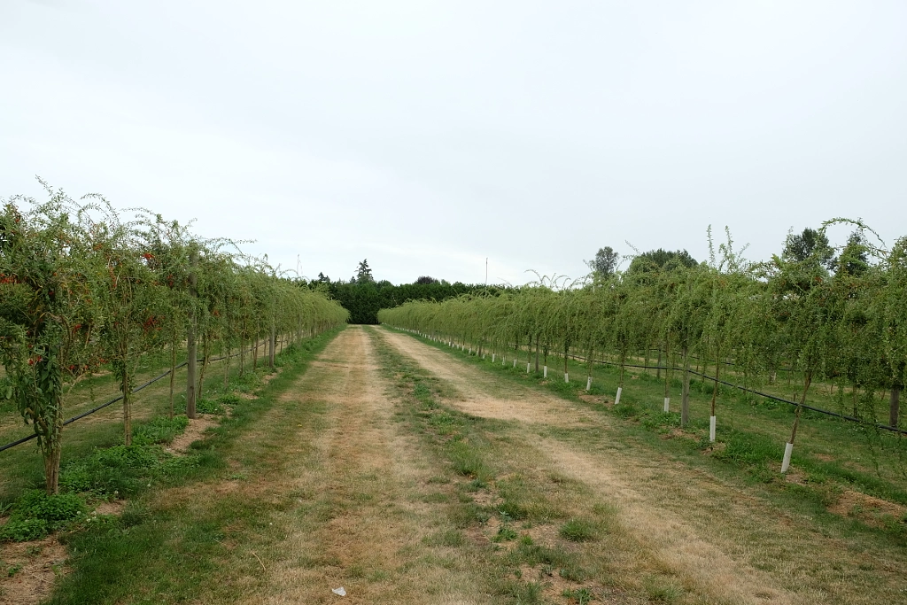 IMG by ukijojo on 500px.com