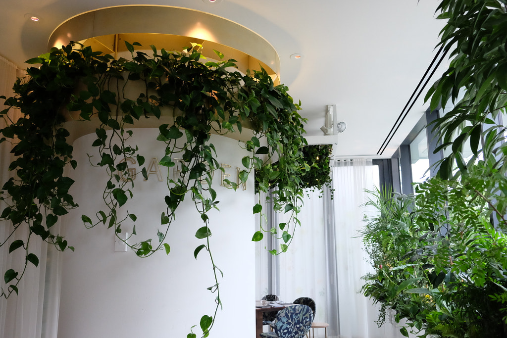 IMG by ukijojo on 500px.com