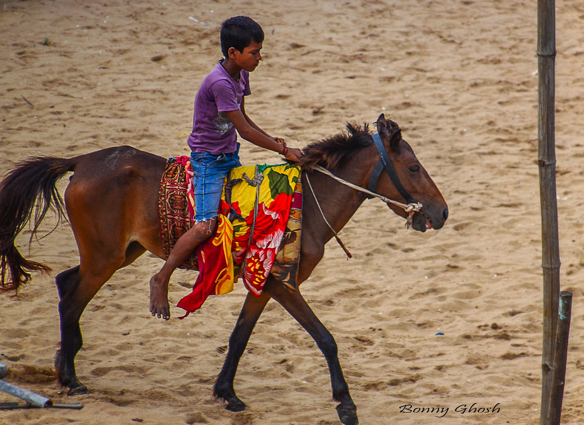 Horse Riding