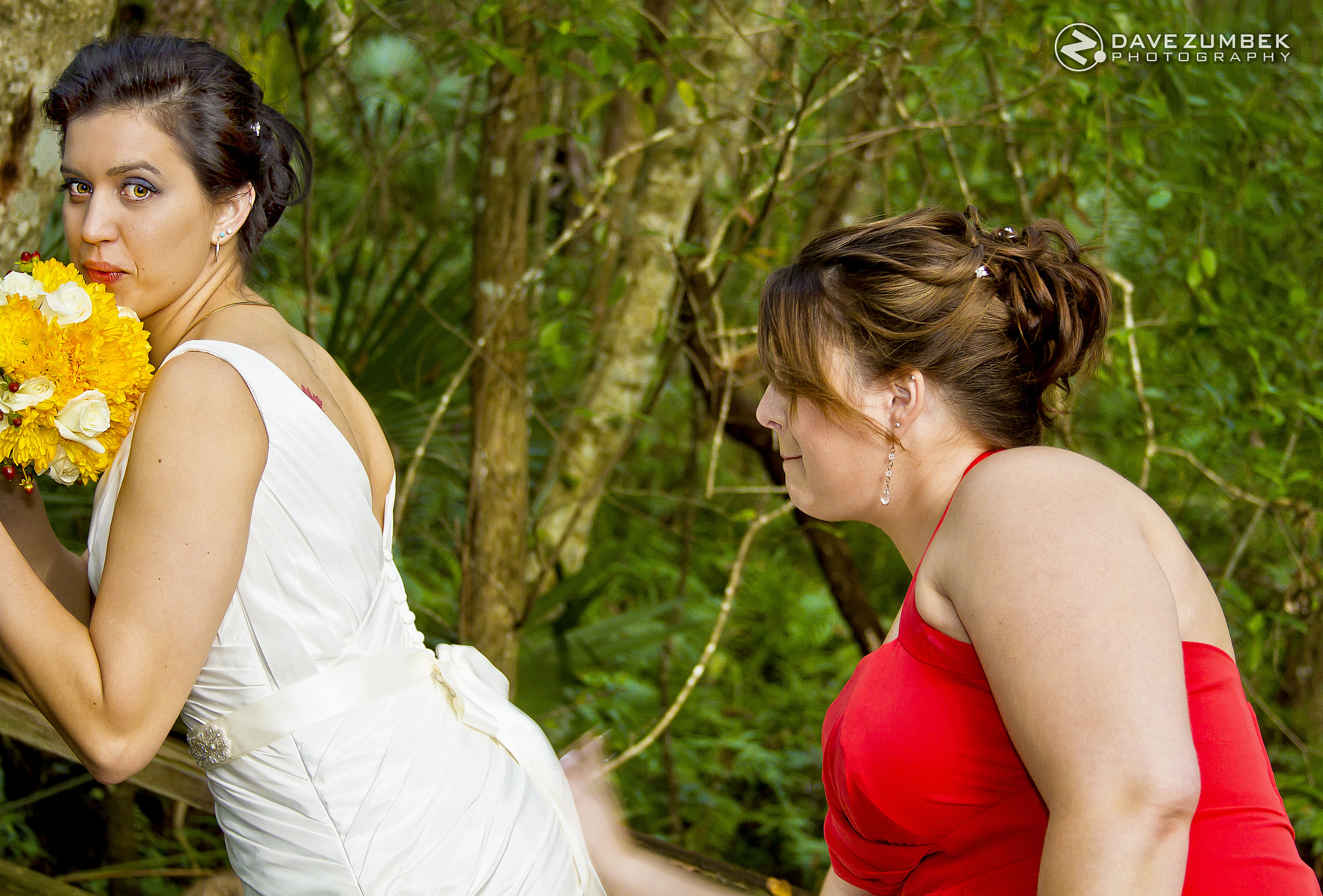 Agenzie di sposa dell'ordine della posta