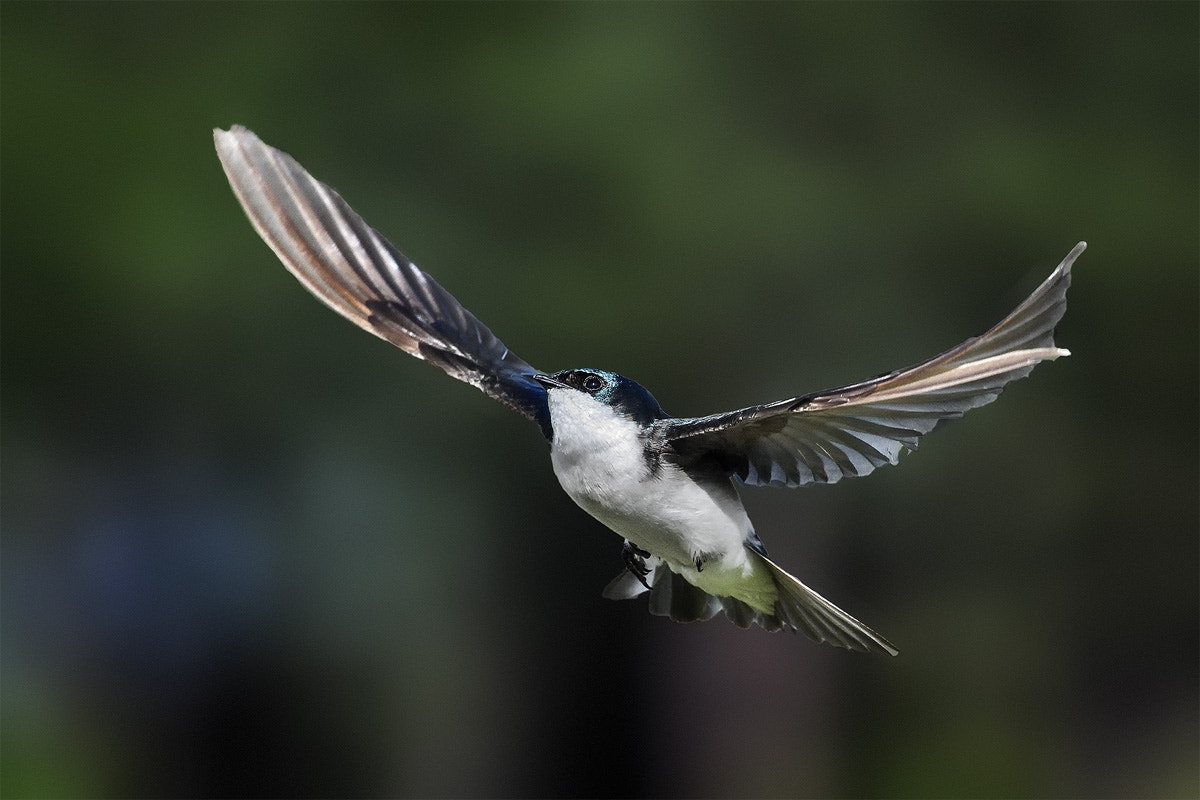 Steve Perry (backcountrygallery) Photos / 500px