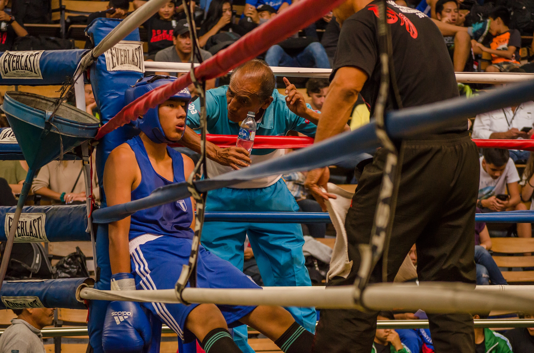 Consejos de la esquina