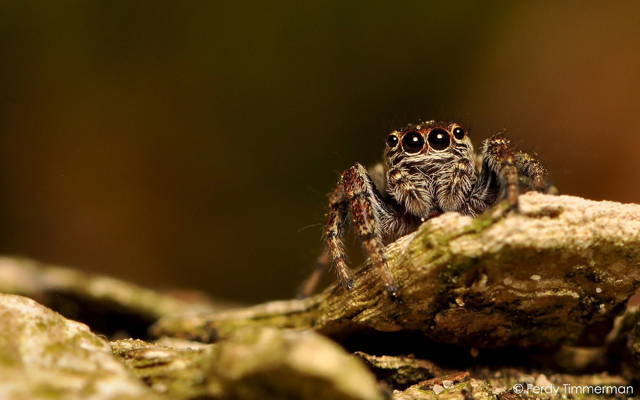 v2?sig=6427cb97a4df606ab9a50d156f4f9d135a50d382fc3896e9daa9e99690481c4a