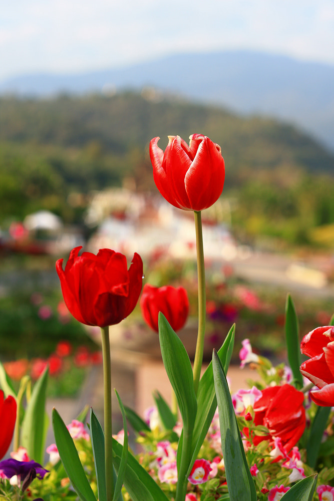 v2?sig=ca97111c794cd2aa9df252d95fc771d746024f61fc1a9ceacd88e555ee5f0681