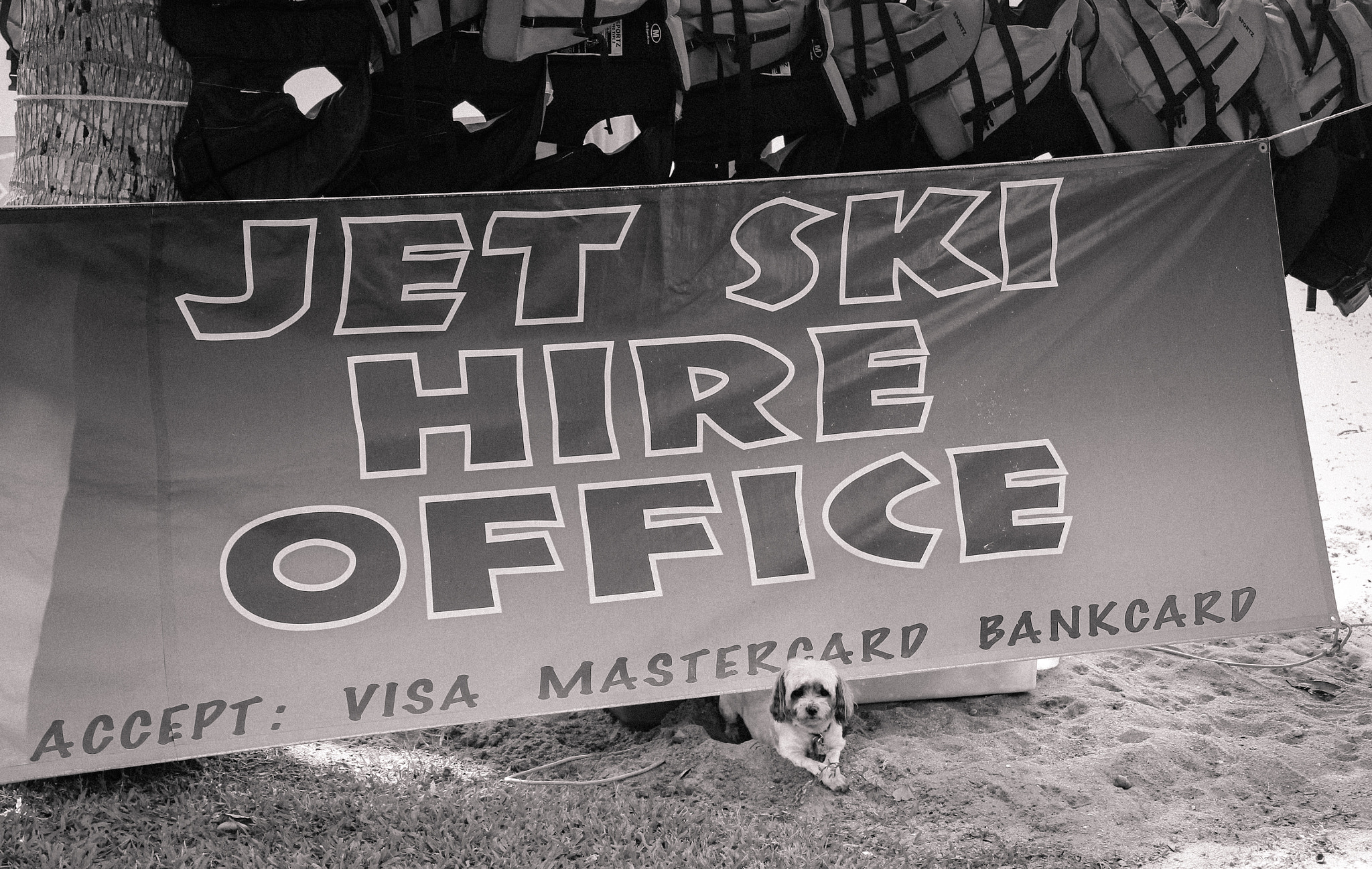 v2?sig=1096cb41e82d437d80bcd3b235dedde5ed1e9d1b89bd0efc154c395503946689