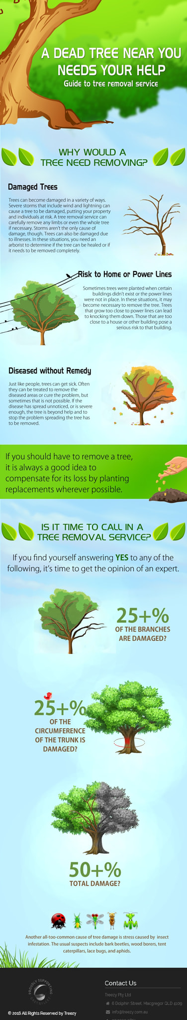 Guide to Remove Tree