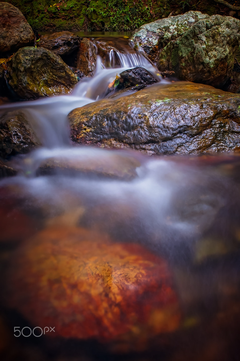 Charlotte Hellings (CharlotteHellings) Photos / 500px