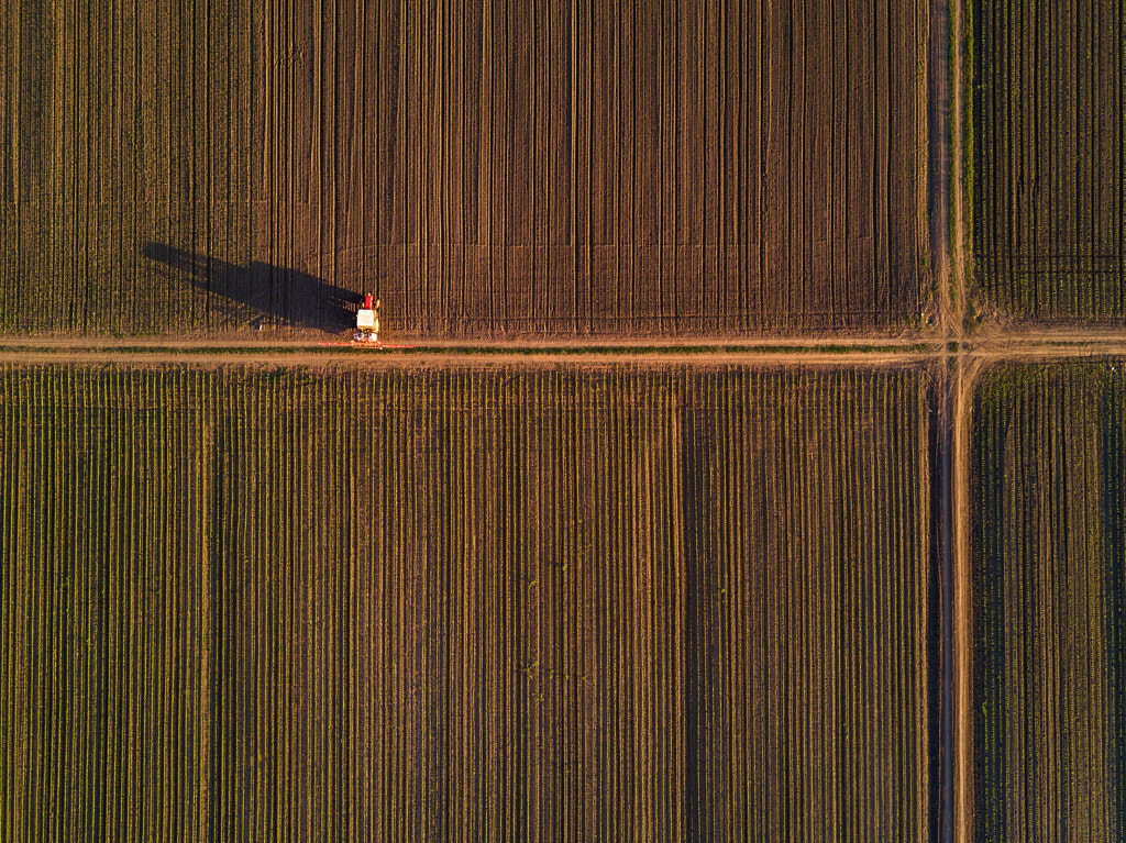 Aerial view of tractor in cultivated corn maize crop field by Igor Stevanovic on 500px.com