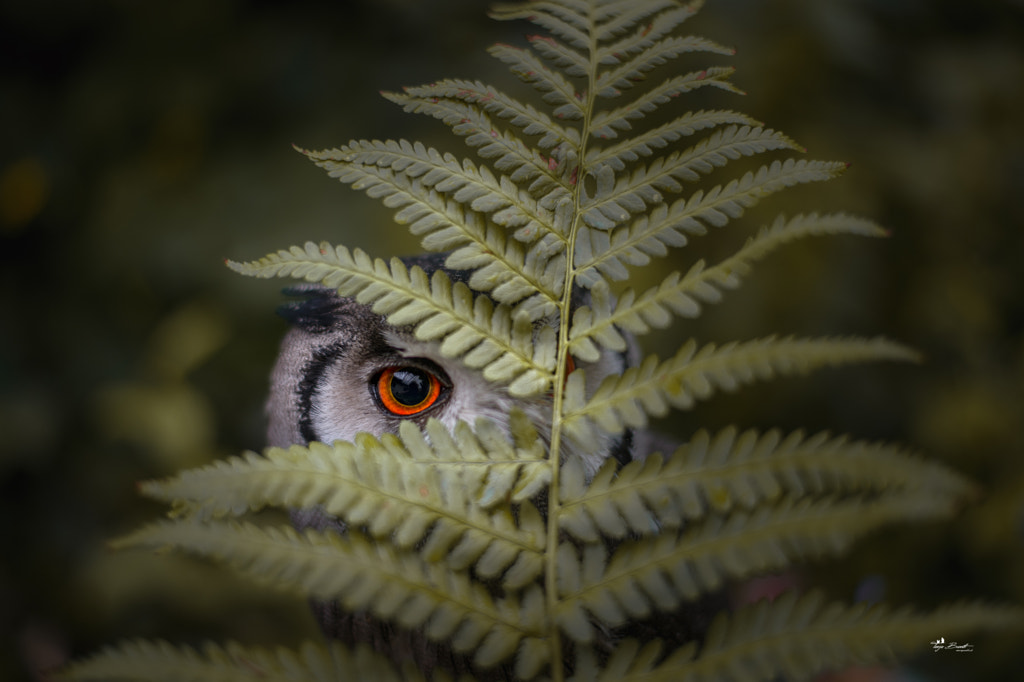 See you by Tanja Brandt on 500px.com