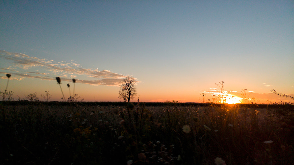 Sunset by Attila Fehér on 500px.com