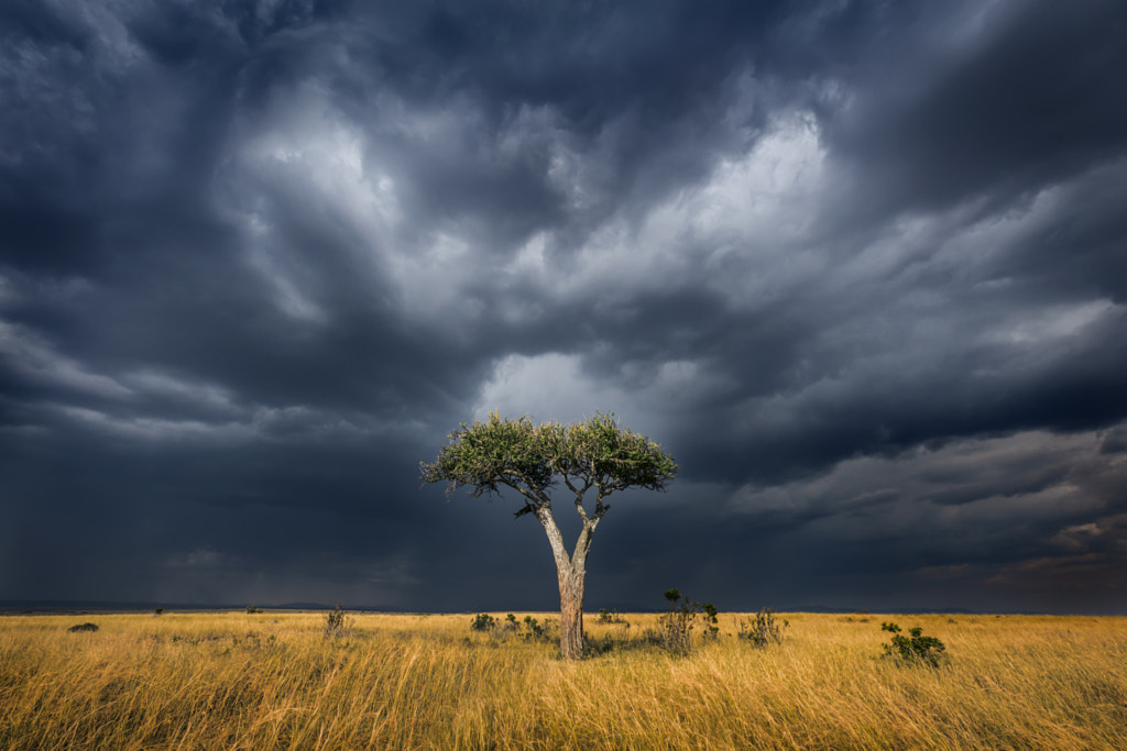 Storm clouds Masai Mara