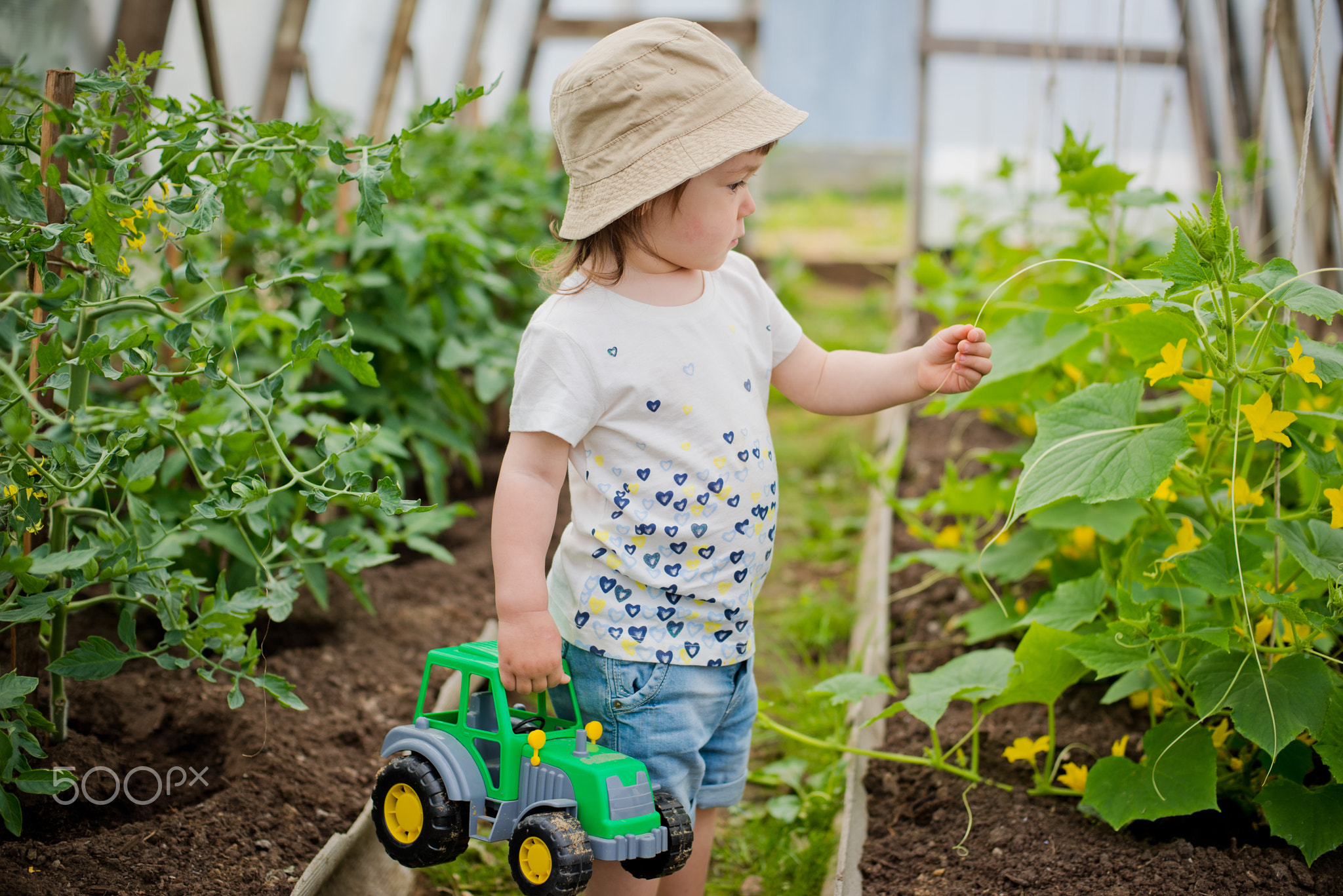 Child in the greenhouse