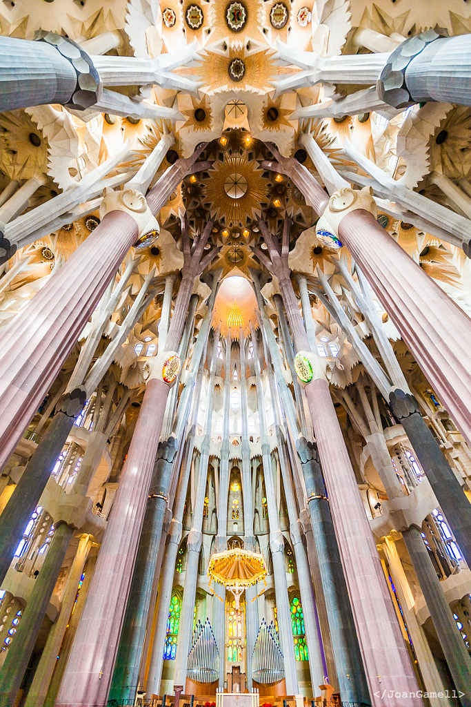 Sagrada Familia Ceiling #2