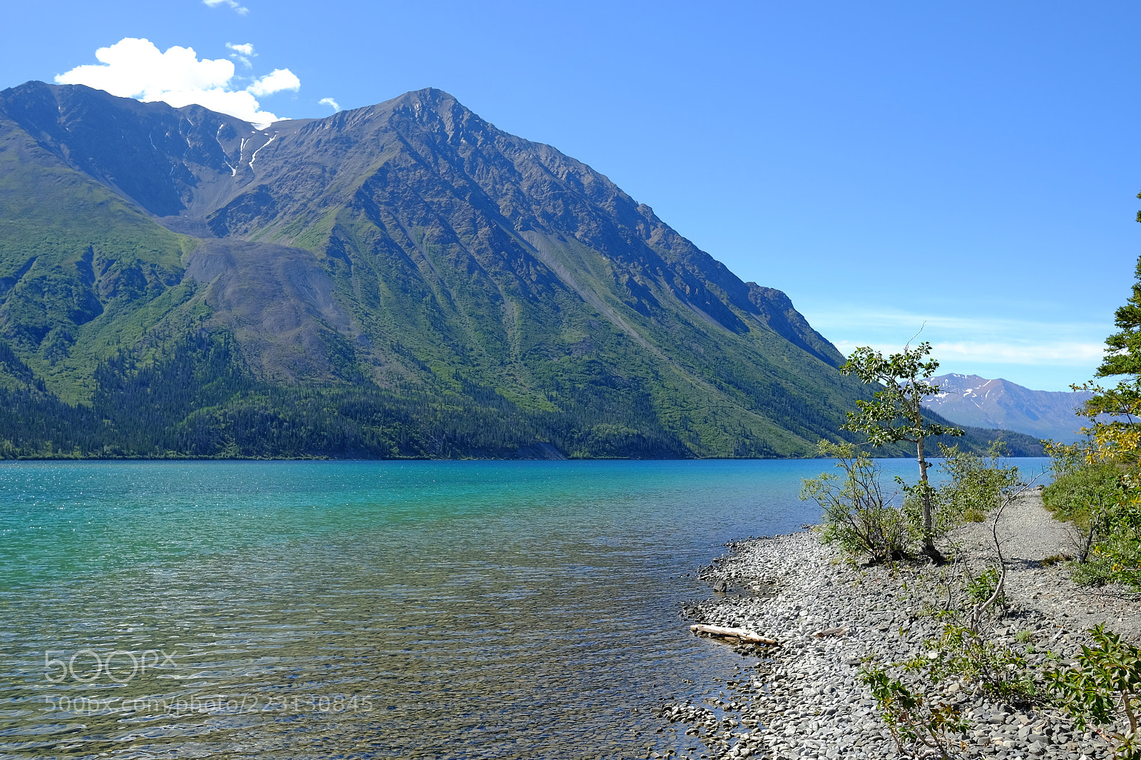 Fujifilm X-T1 sample photo. Kluane national park photography