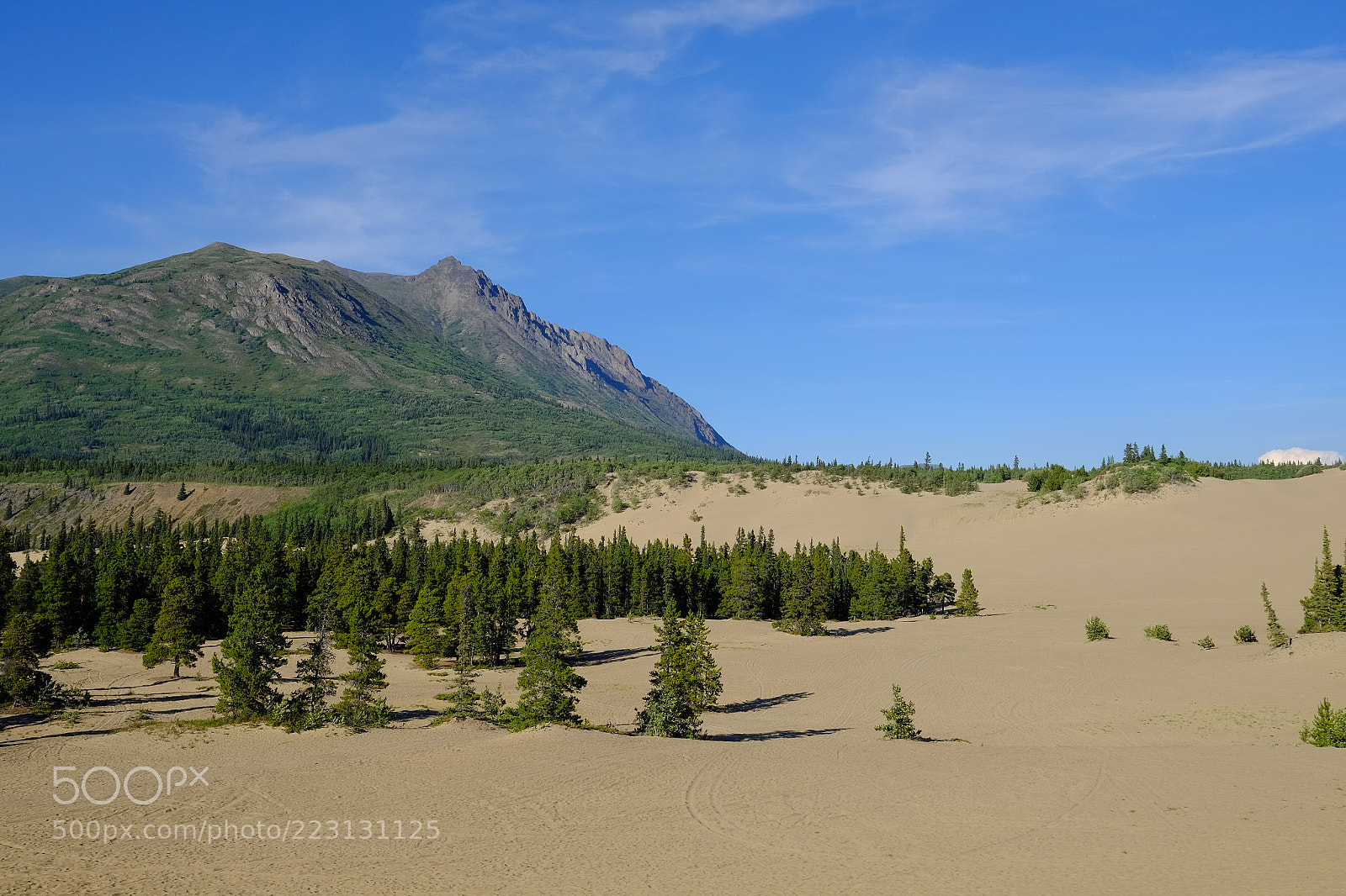 Fujifilm X-T1 sample photo. Carcross desert photography