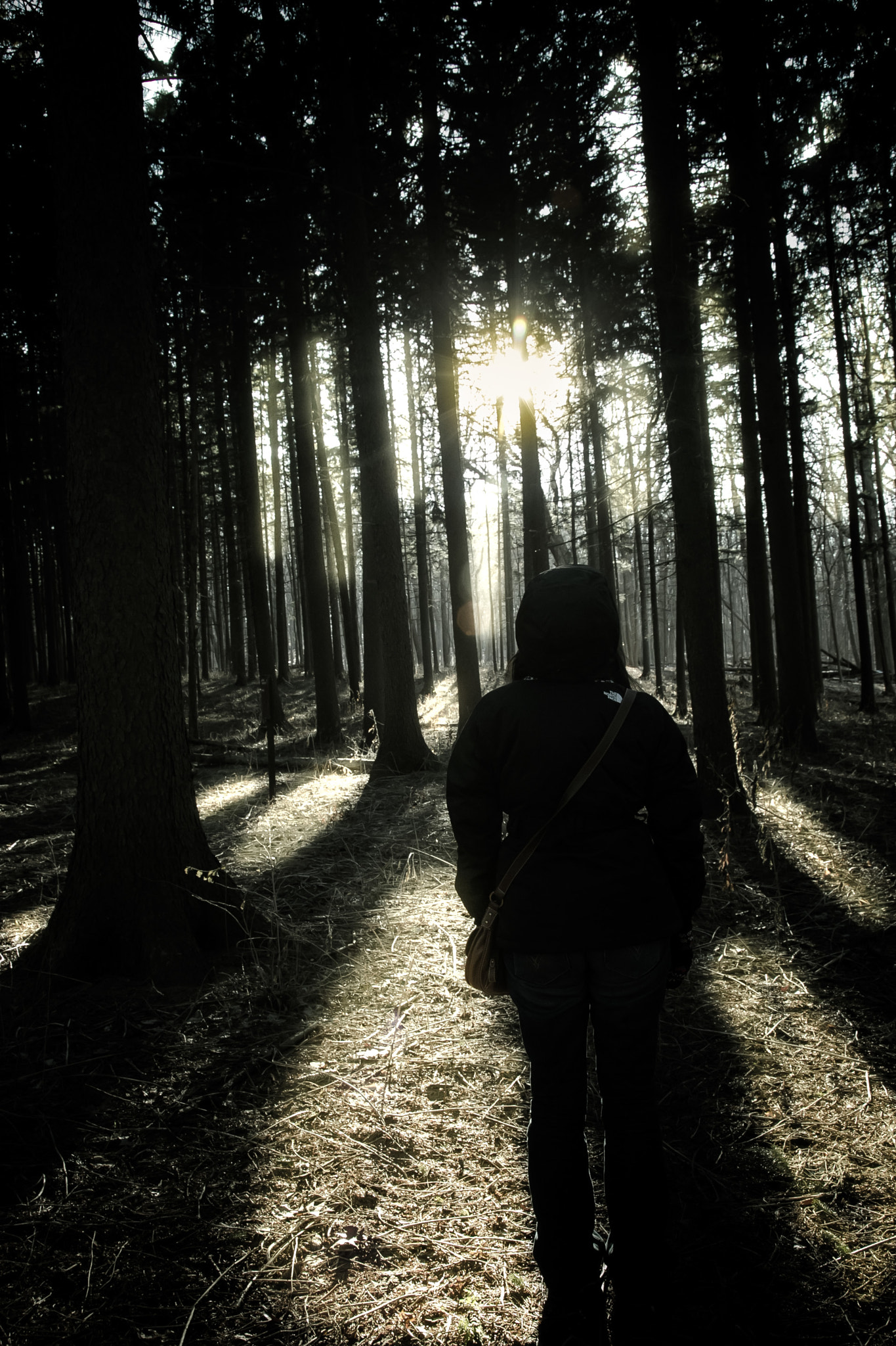 Seeing the light