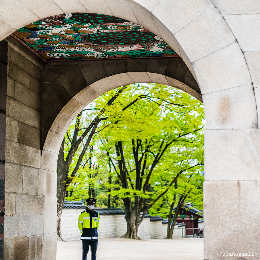 Green guard, green leafs