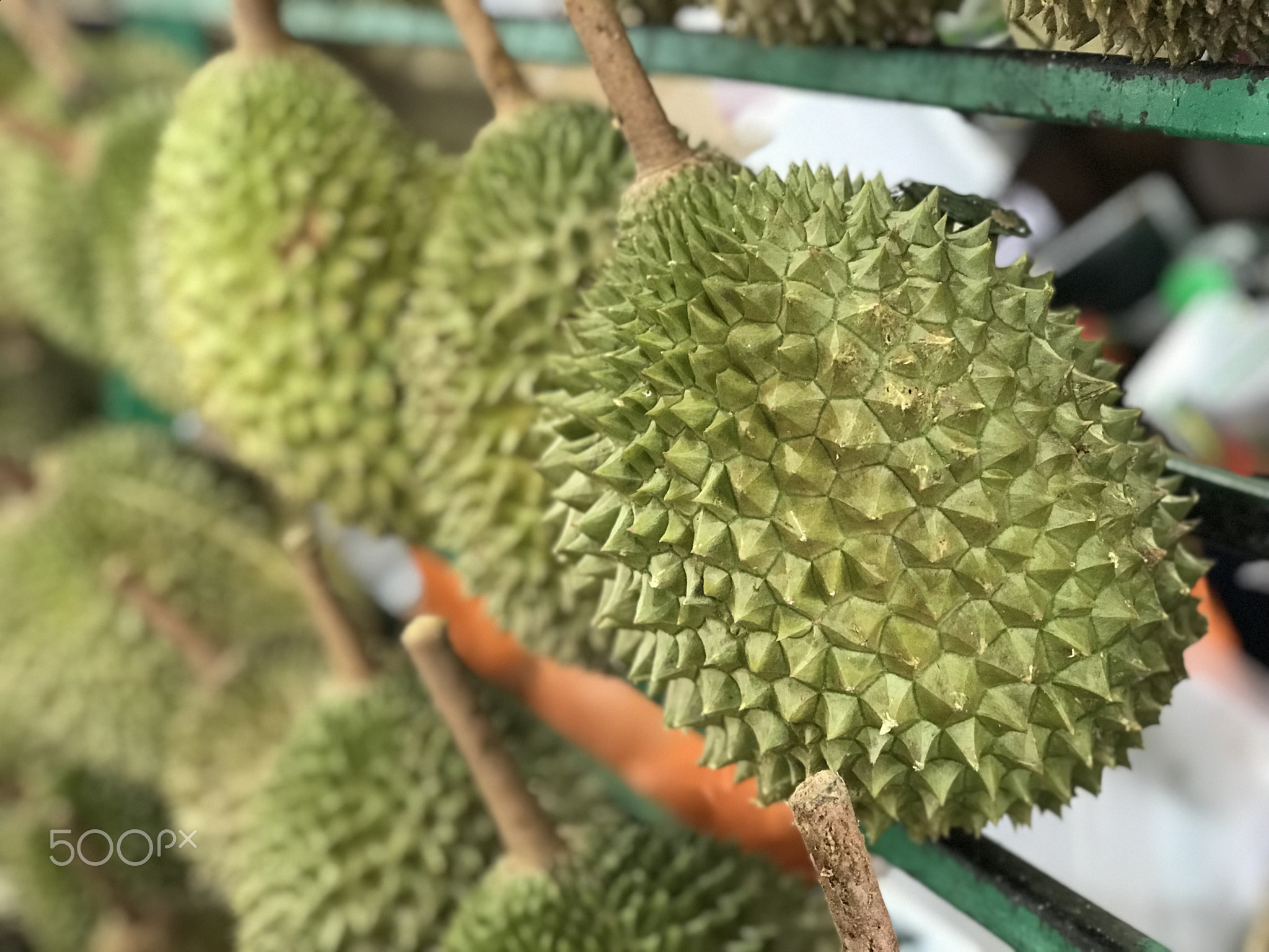 Durian fruit of Malaysia