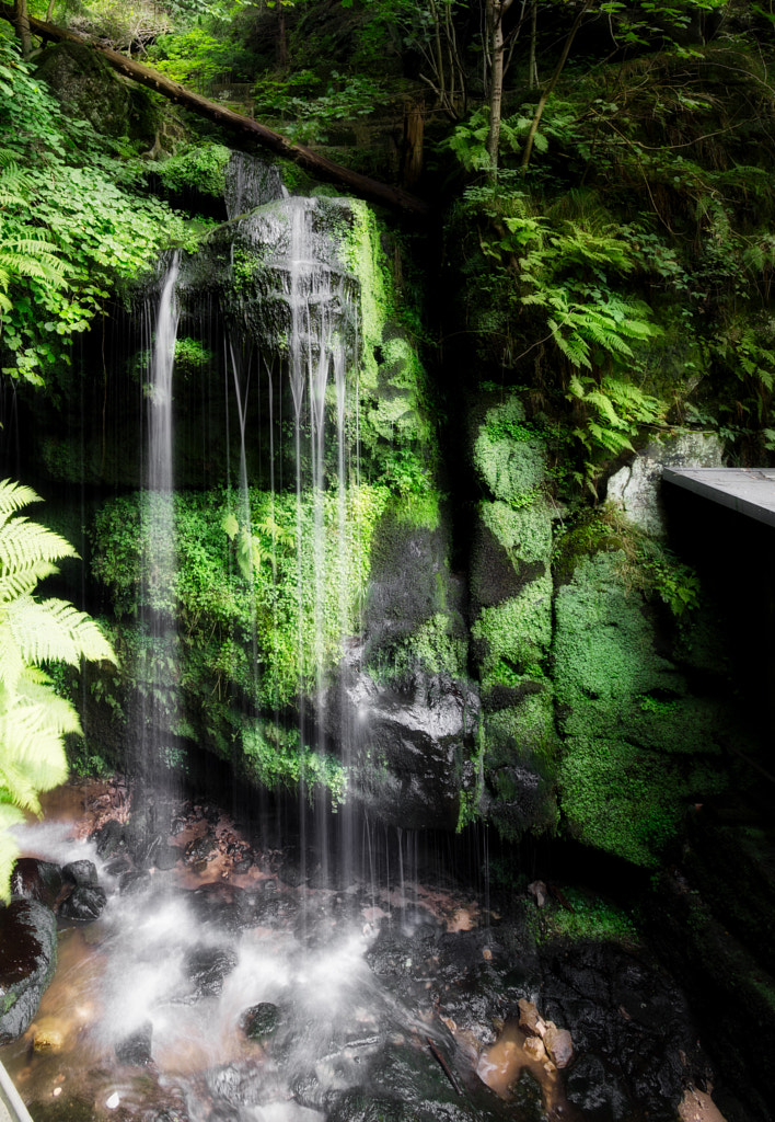 amselfall von dirk derbaum auf 500px.com