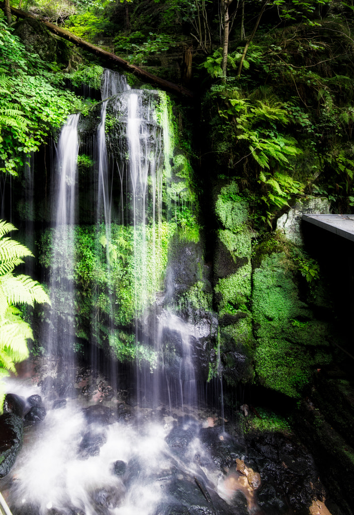 amselfall von dirk derbaum auf 500px.com