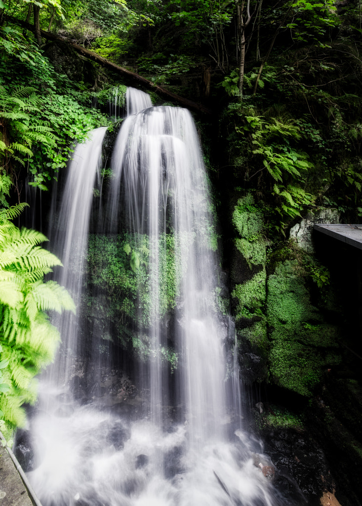 amselfall von dirk derbaum auf 500px.com