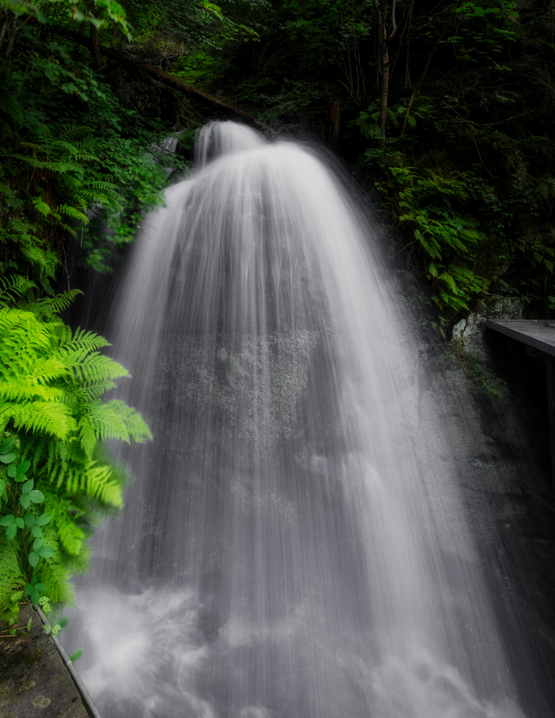amselfall von dirk derbaum auf 500px.com