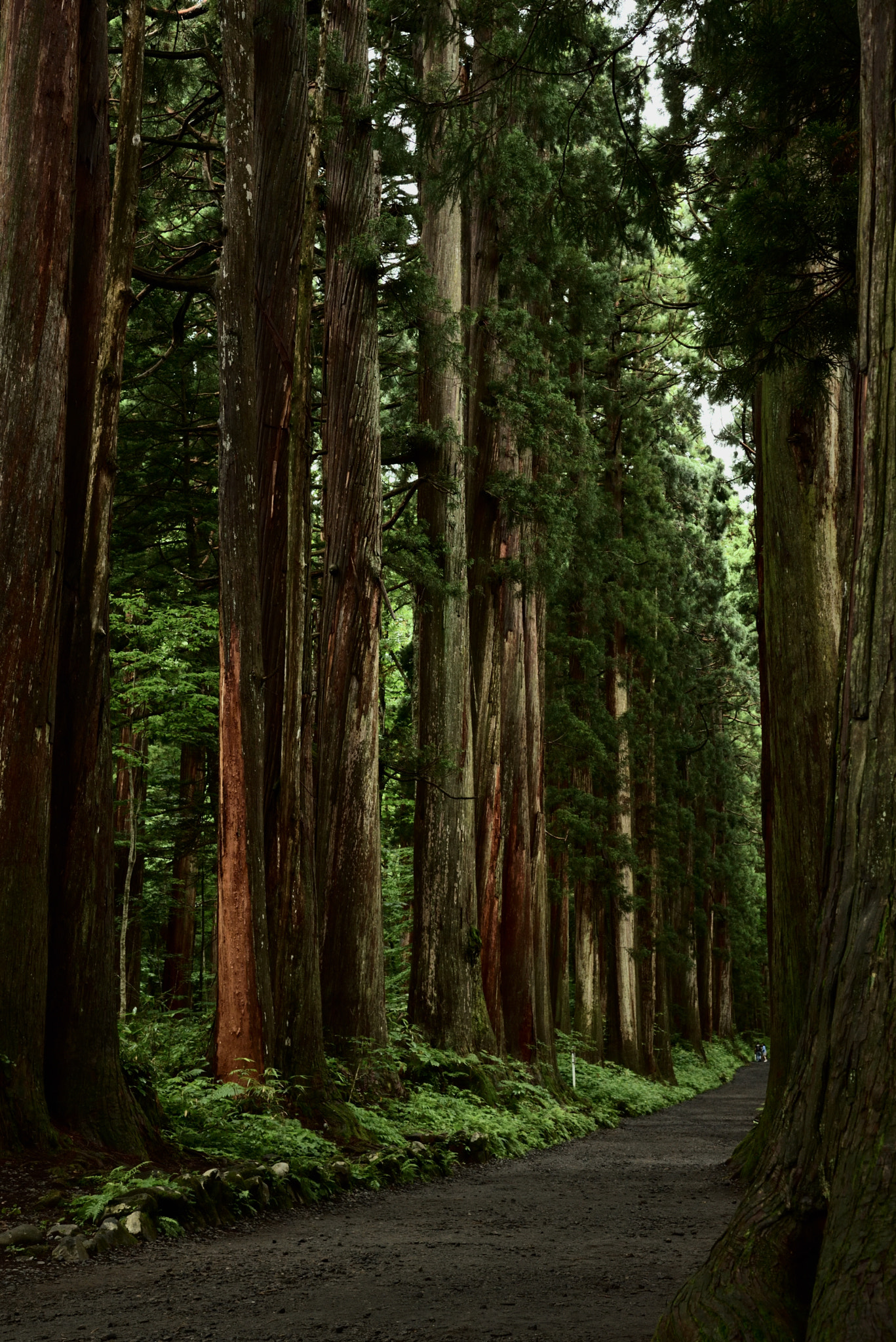 Road approaching a shrine