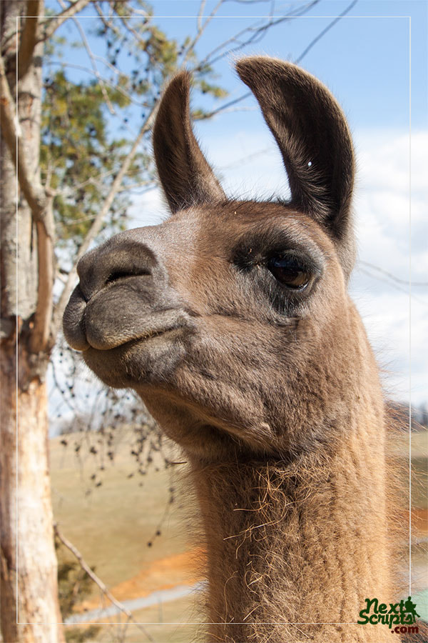 Test Post from Психологическая помощь