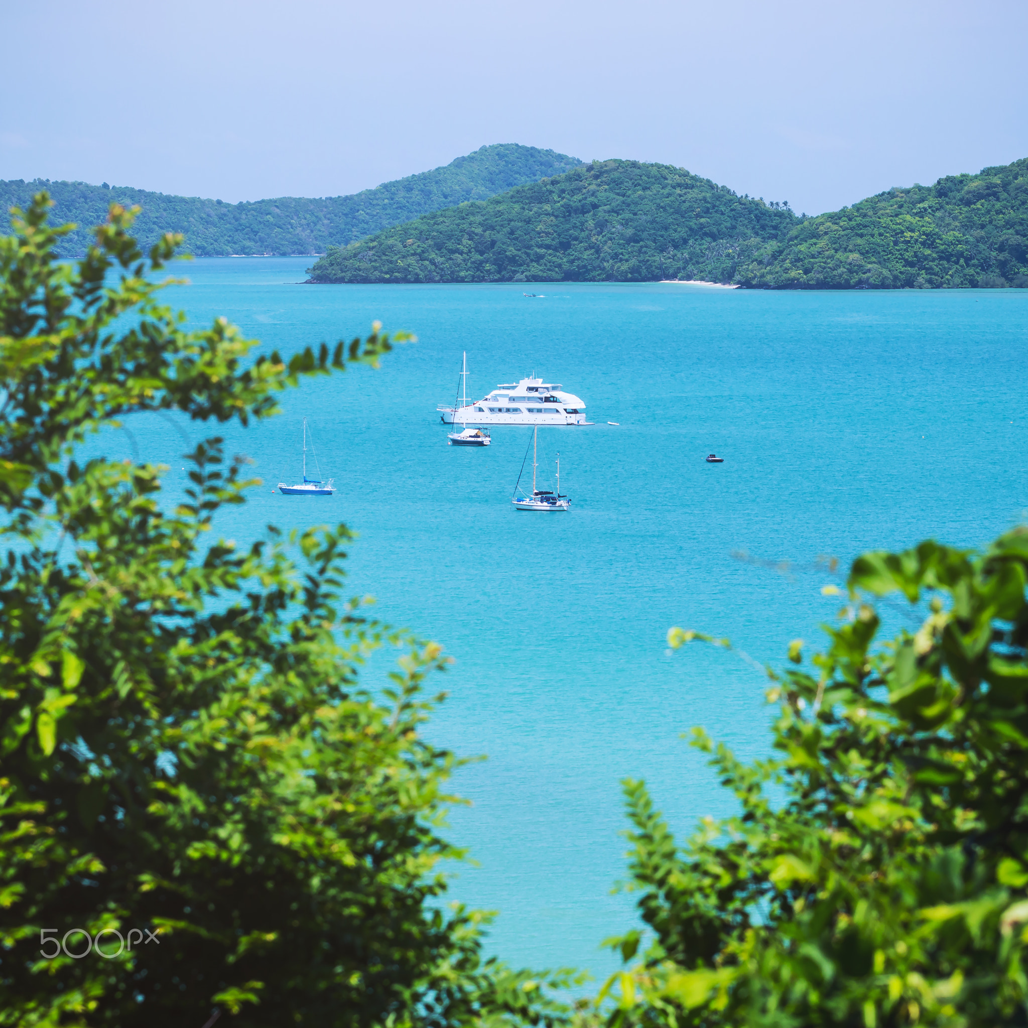 White yachts are parked in the middle of the sea with bushes in
