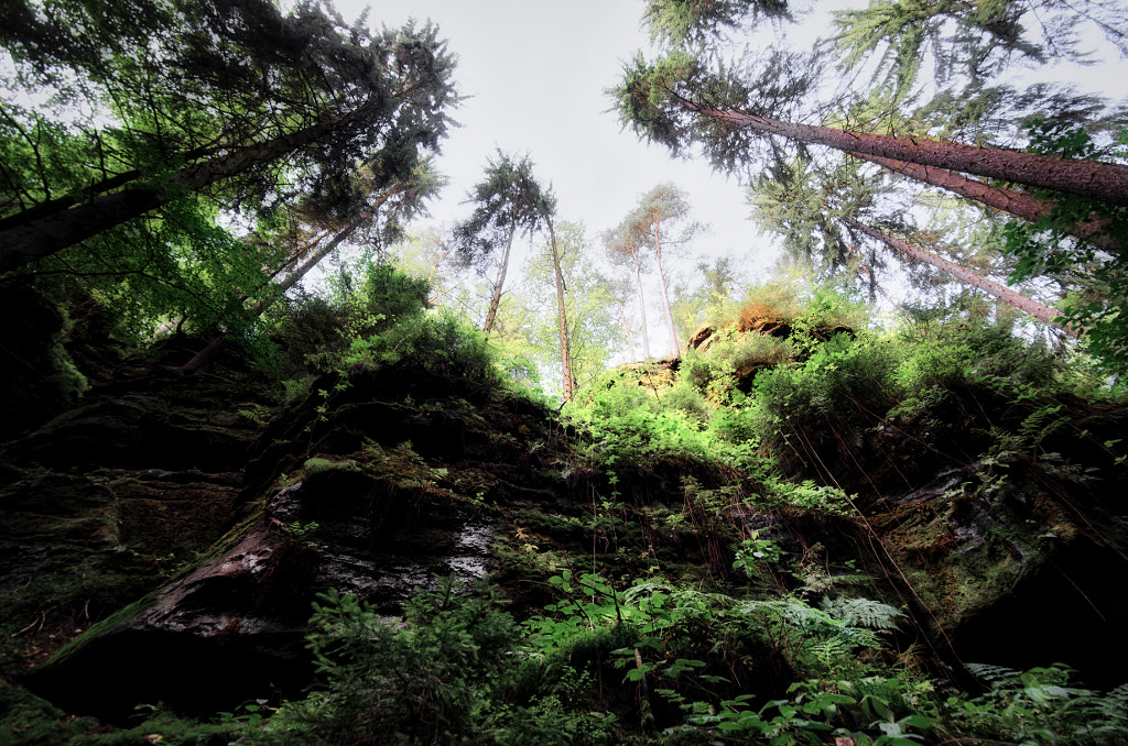 up von dirk derbaum auf 500px.com