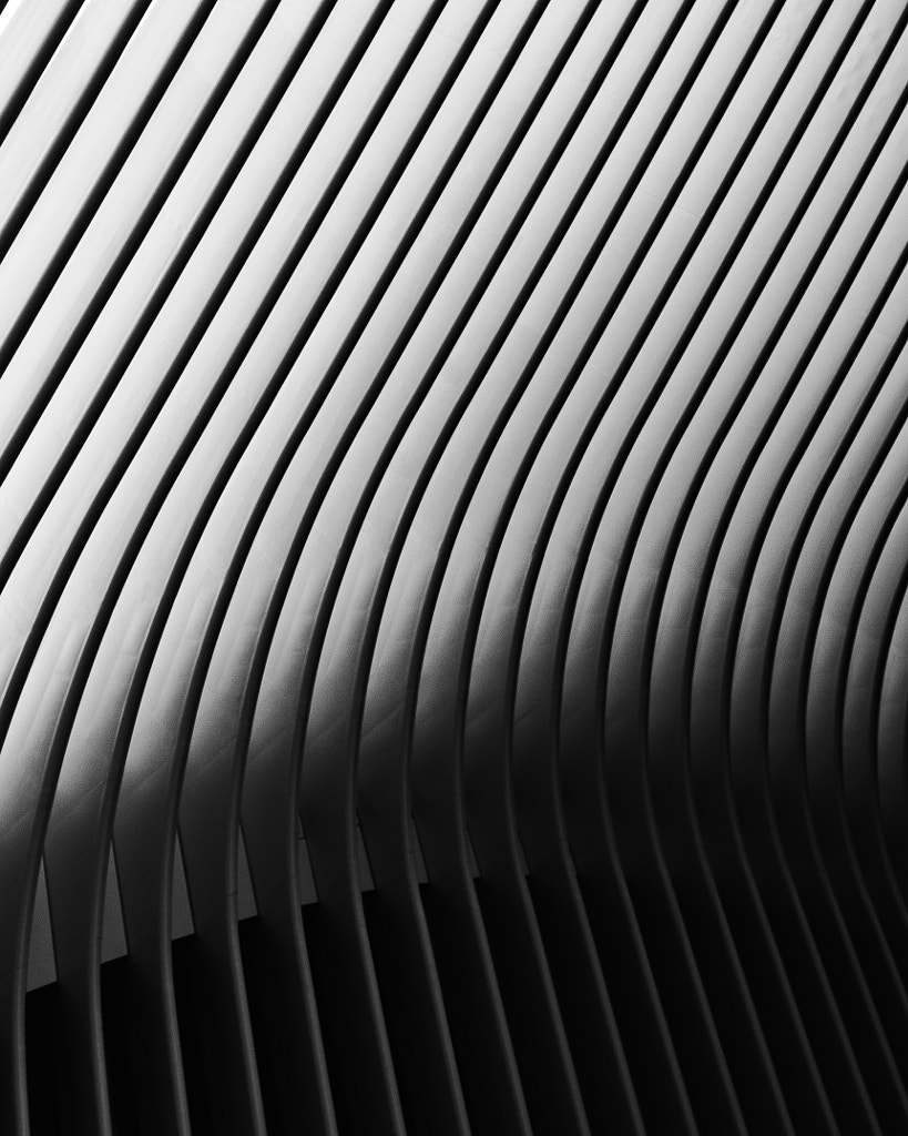 black and white pictures - lines by Matthias Leidinger on 500px.com