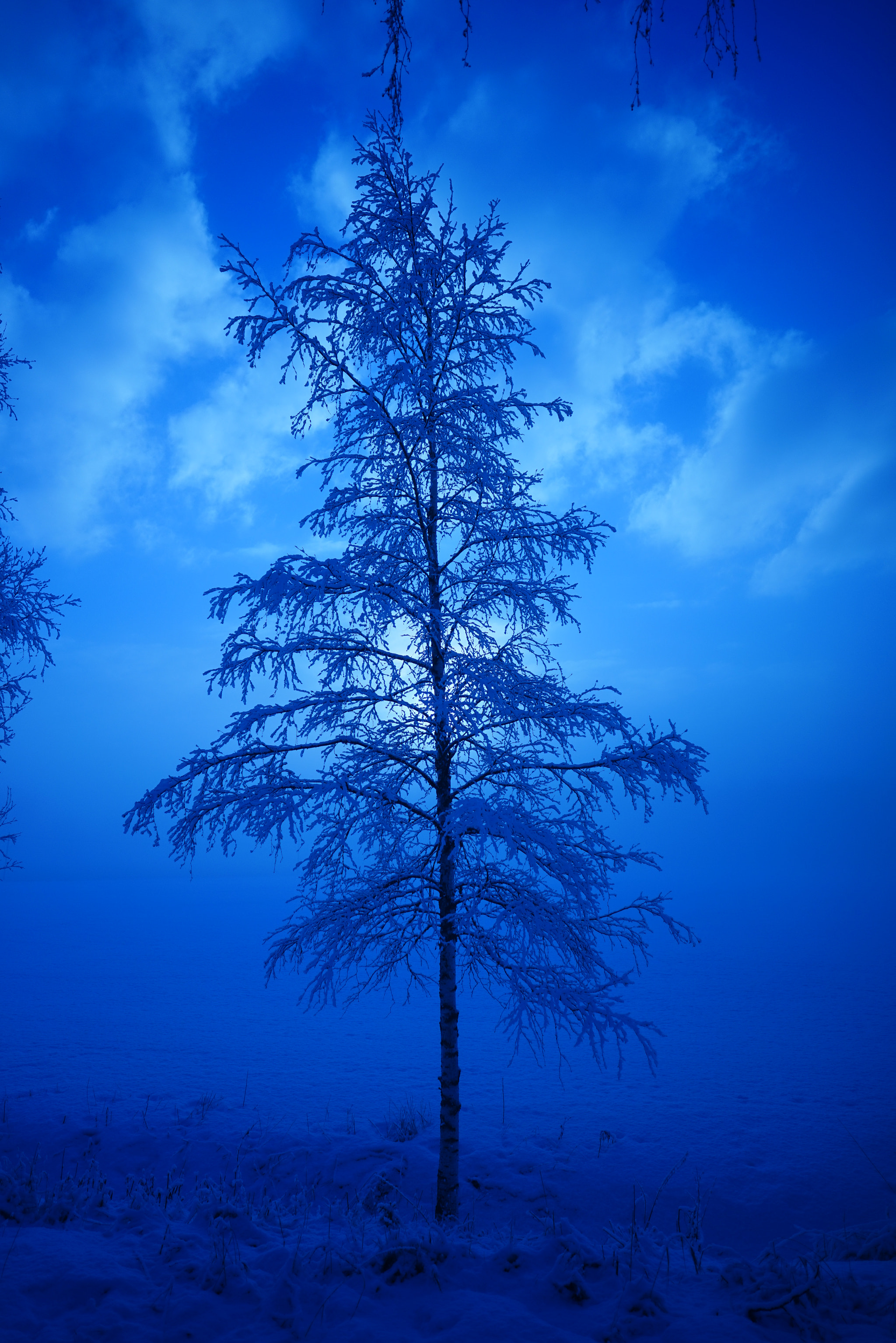 v2?sig=ac7dee719bbeaafe191a9dbf055e1e21b