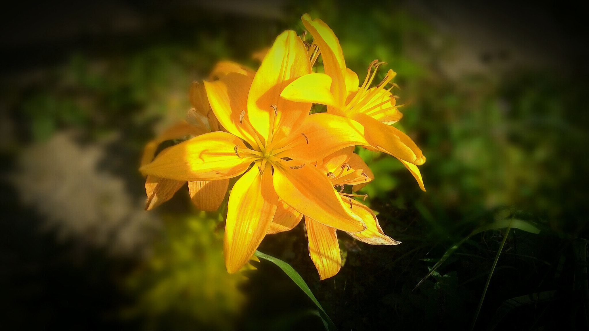 v2?sig=54cb7b6b0b5a122c638258ec83d803a973a6fda7198f02c498b55f0d41f0ee74