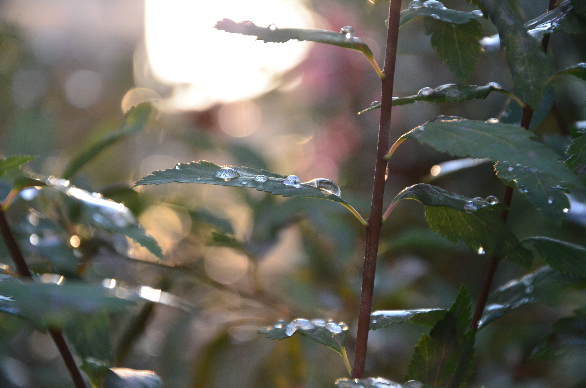 v2?sig=c1aecf66914f3ec163e574b8547e1aba000dfd80f246b1eb6e3f37f46f6c5cc6