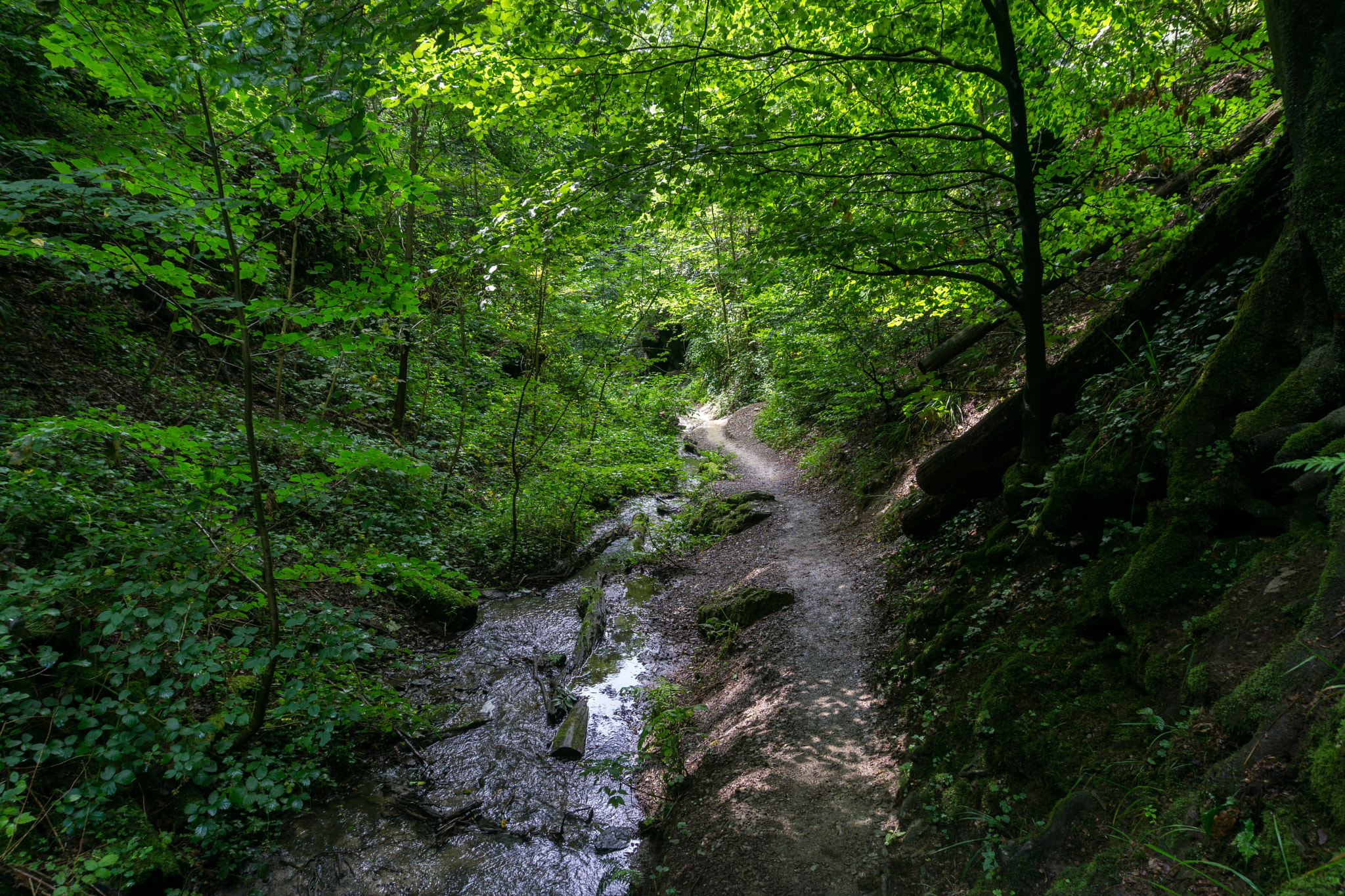 Ruppertsklamm bei Lahnstein by Jörg Schönfeld / 500px