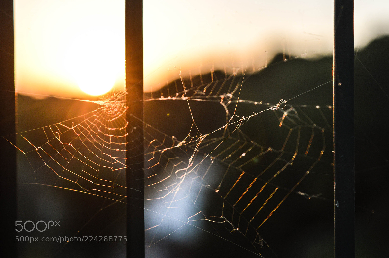 Nikon D3200 sample photo. Web photography