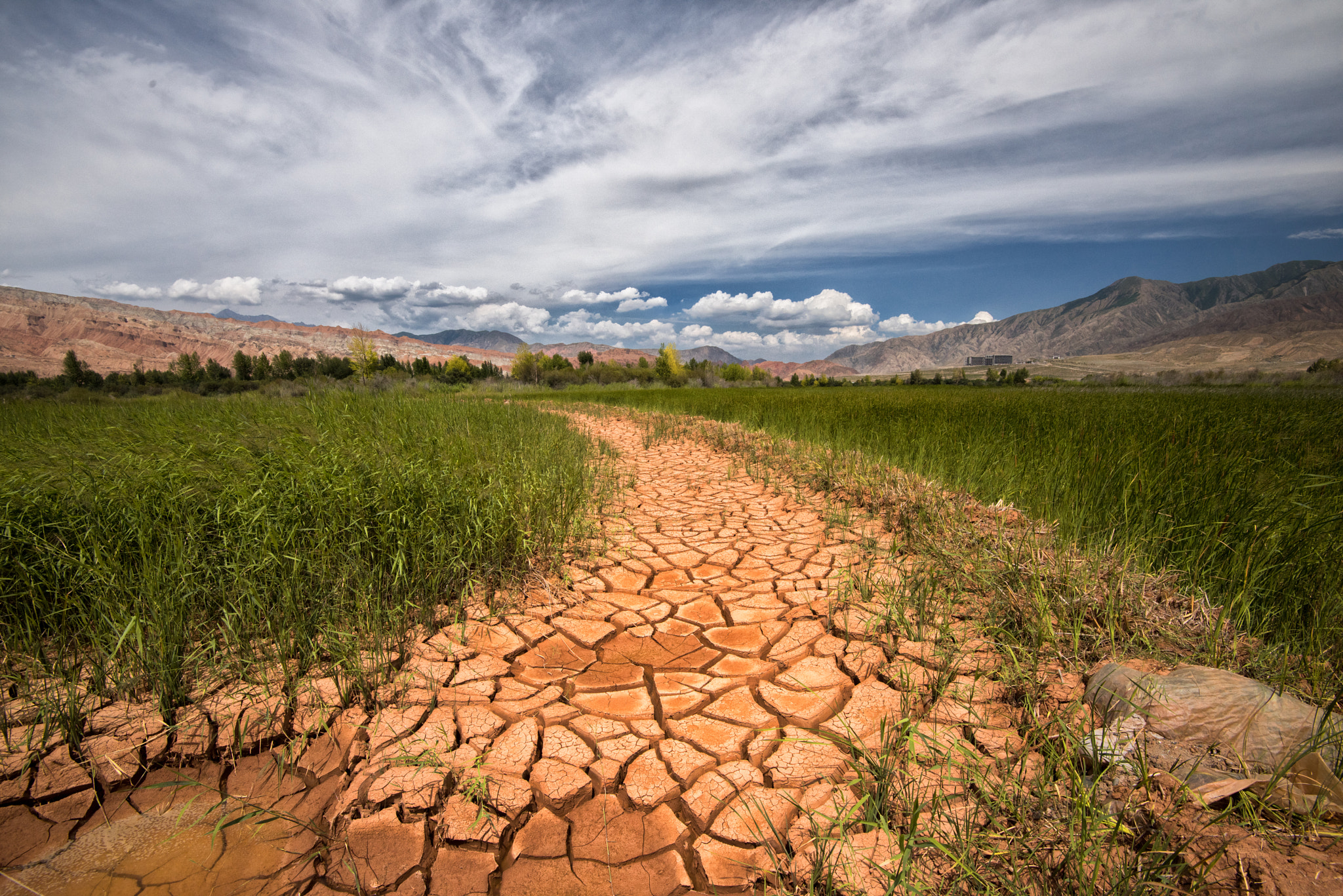 Dry Field by the Yellow River