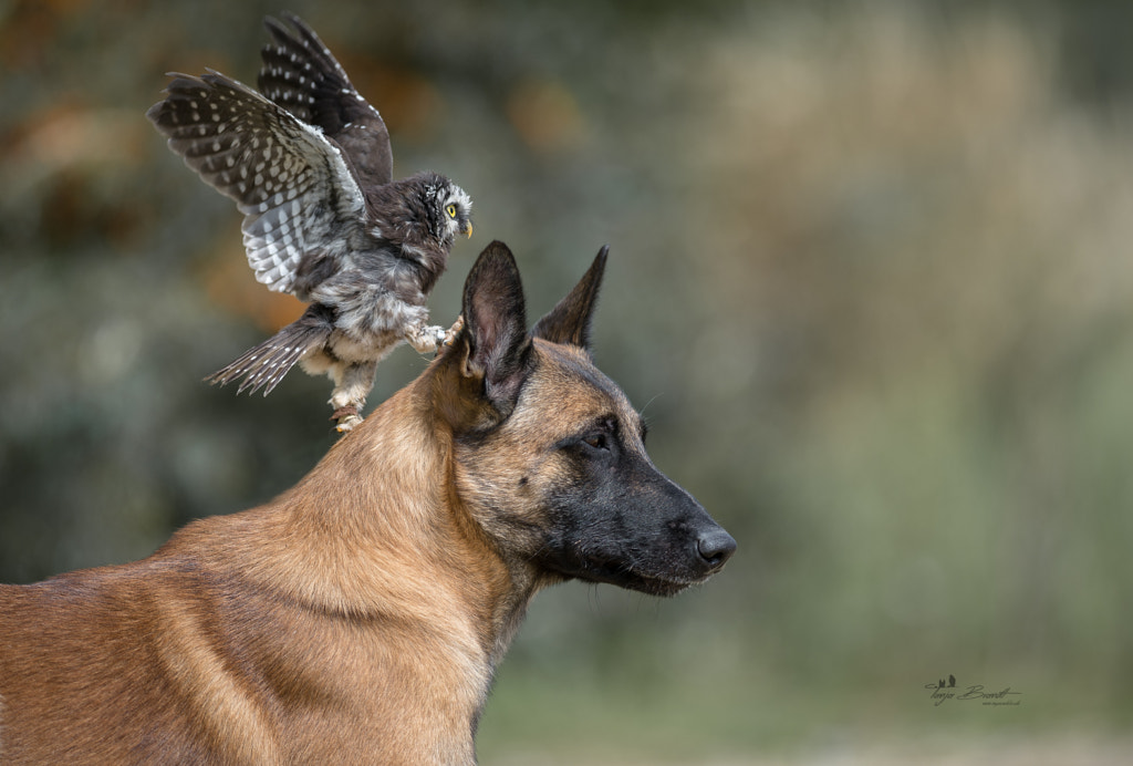 Favorite place by Tanja Brandt on 500px.com