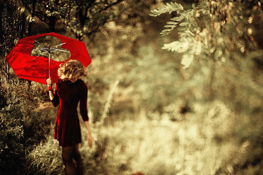 Umbrella de Vicoolya and Saida  sur 500px.com