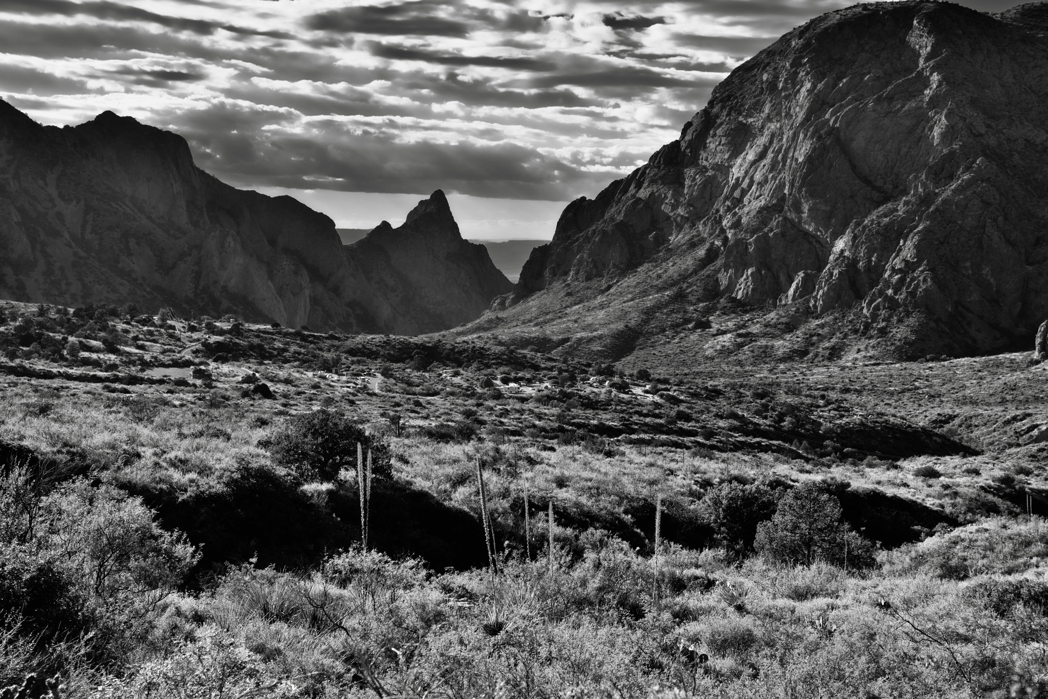 A Look Across the Chisos Basin Area to Peaks of the Chisos Mountains (Black & White)