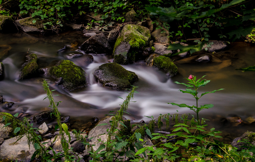 drei von dirk derbaum auf 500px.com