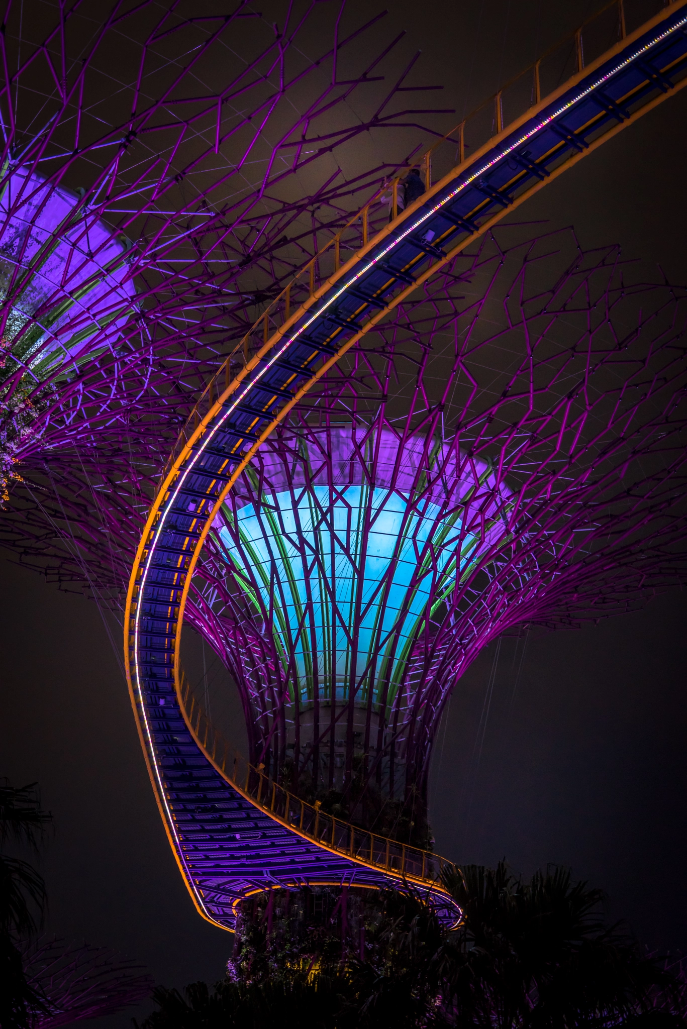 Super Trees