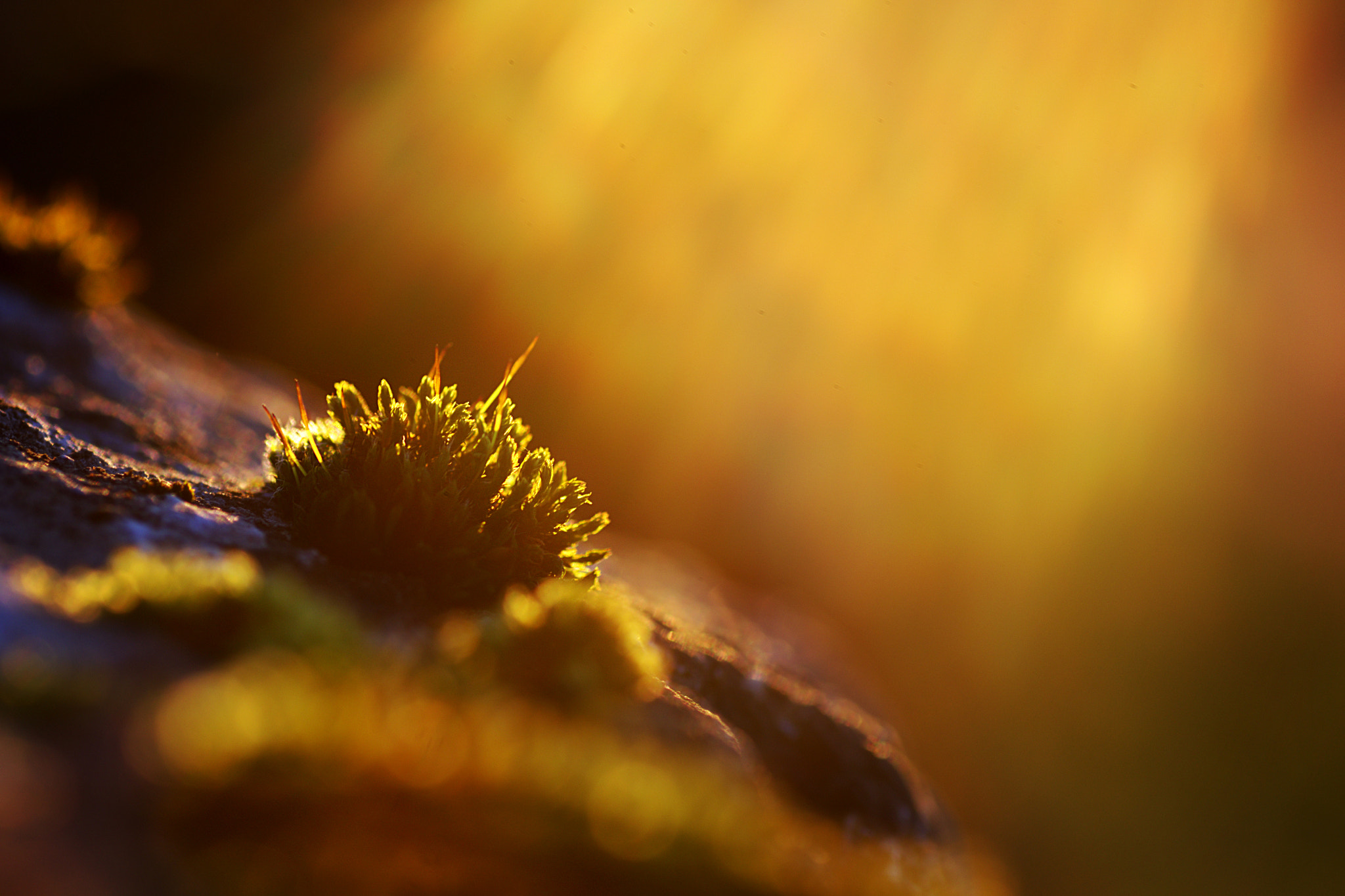 It's a small small world